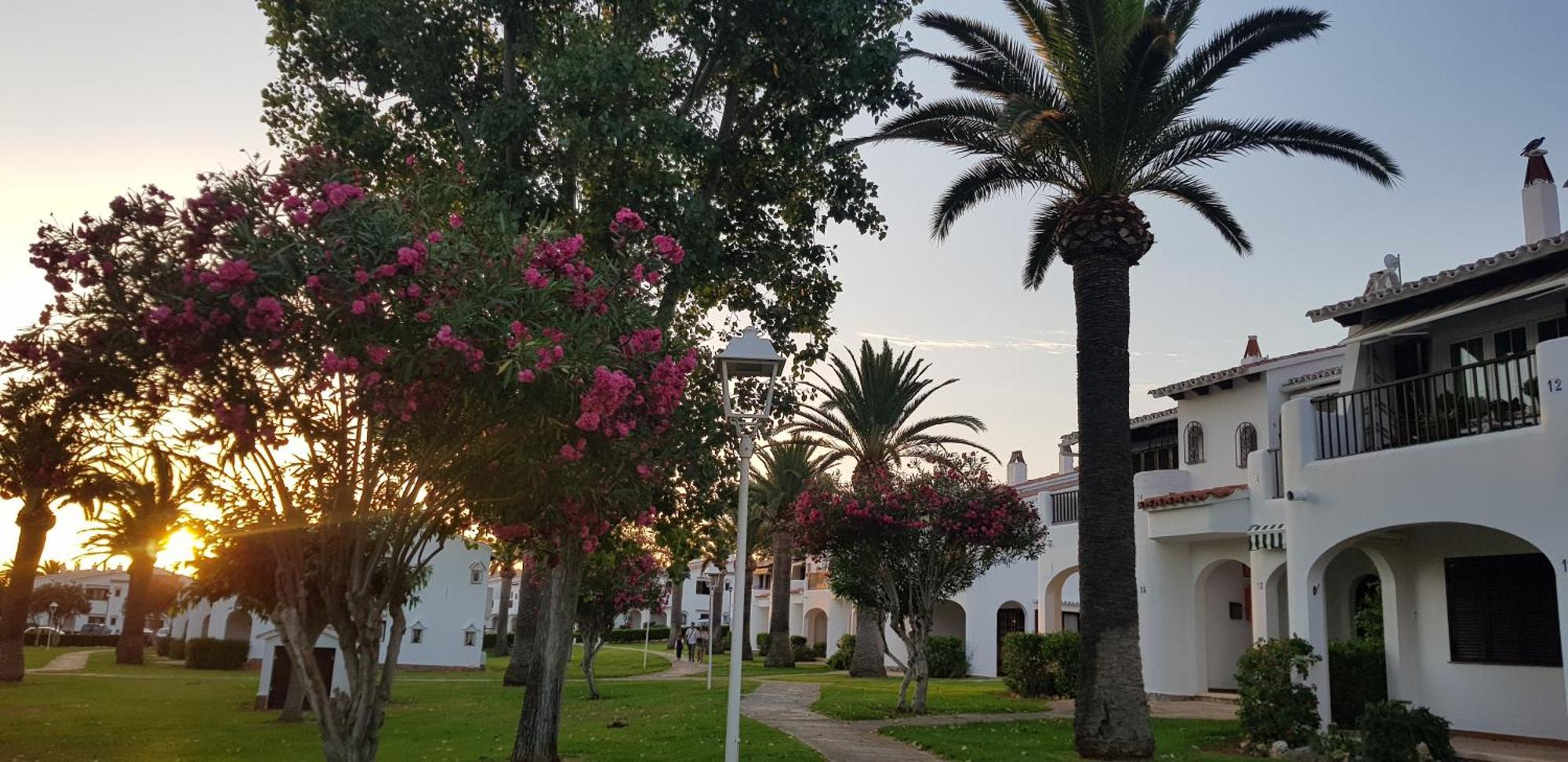 Luna Son Bou Oda fotoğraf